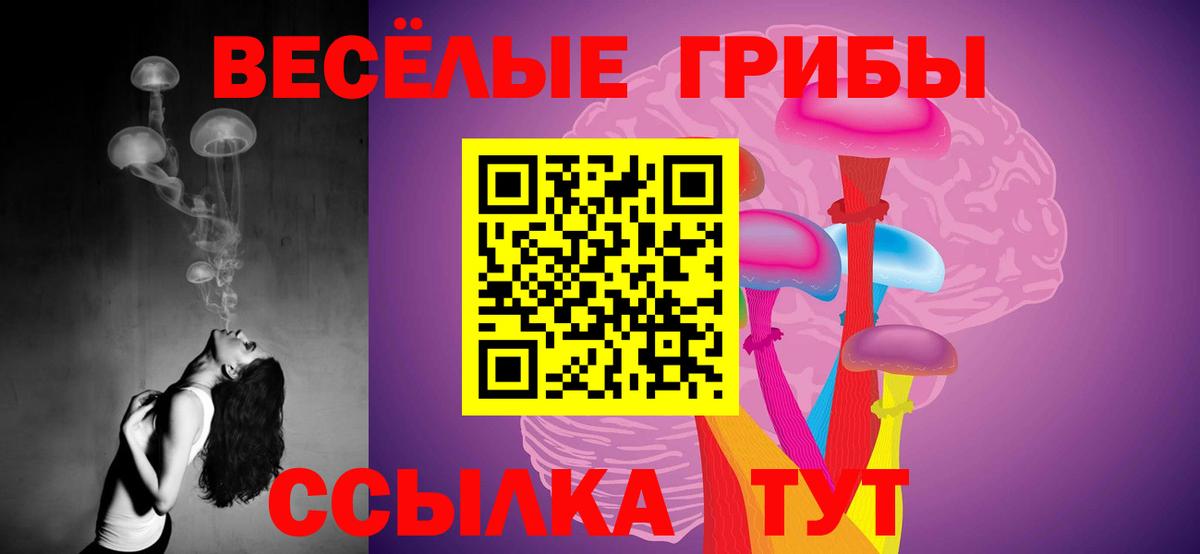 Псилоцибиновые грибы Cubensis  Вход с VPN  Волхов 